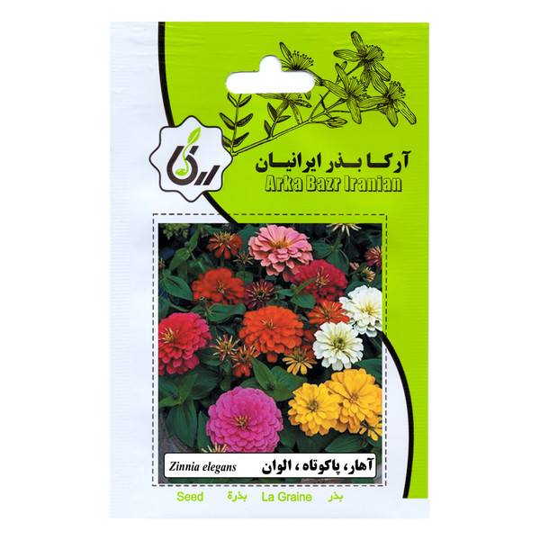بذر گل آهار پاکوتاه الوان آرکا بذر ایرانیان کد 103-ARK