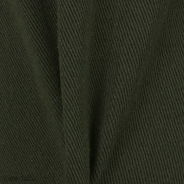شلوارک مردانه پاتن جامه مدل کتان کد 119221020277335 رنگ سبز