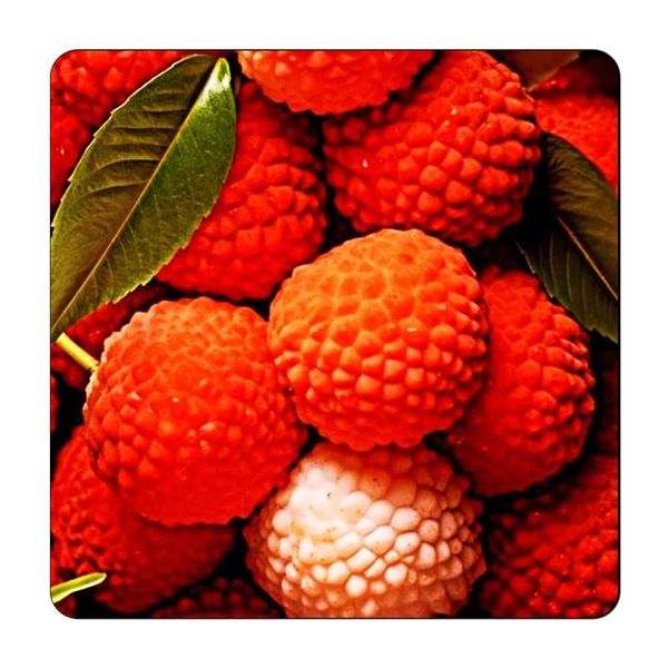 مگنت یخچالی گالری باجو طرح میوه کد fruit 19
