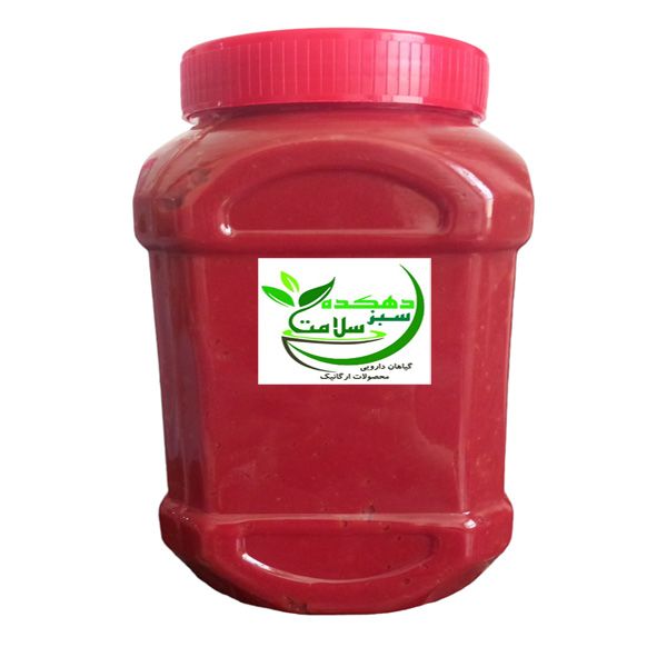 رب گوجه فرنگی خانگی دهکده سبز سلامت - 1100 گرم