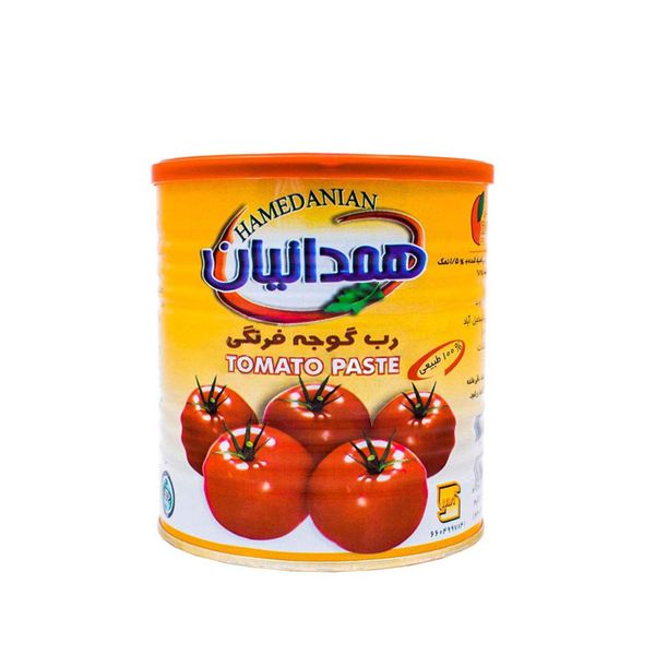 کنسرو رب گوجه فرنگی همدانیان - 800 گرم بسته 6 عددی