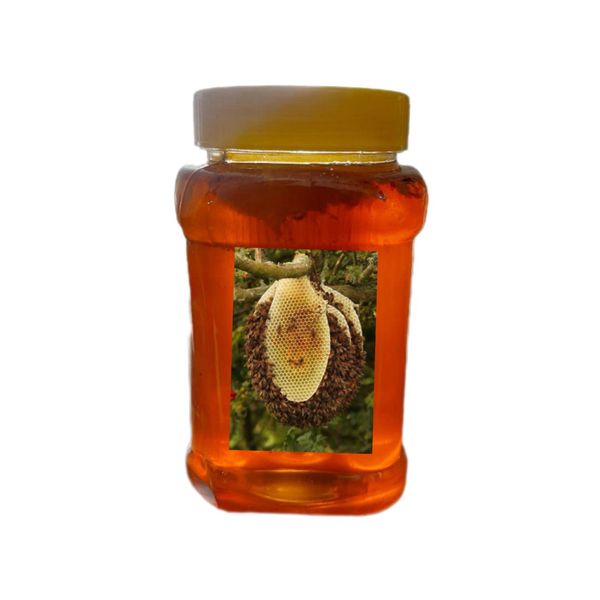 عسل طبیعی سبلان کارنیولان - 1 کیلوگرم