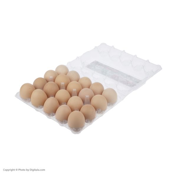 میکس تخم مرغ های محلی پروتئینه ترخون بانو بسته 20 عددی