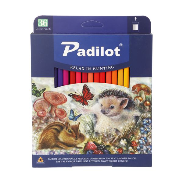 مداد رنگی 36 رنگ پادیلوت مدل M-810236-1