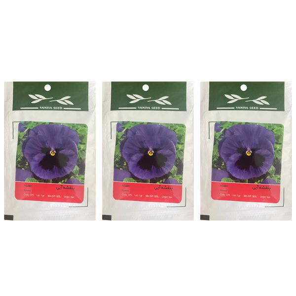 بذر گل بنفشه آبی مدل Violet Serenad بسته 3 عددی