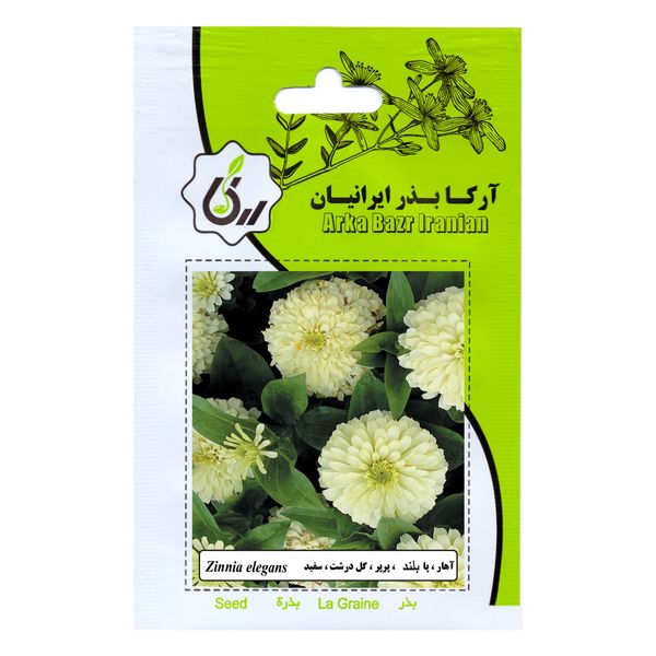 بذر گل آهار پابلند پرپر گل درشت سفید آرکا بذر ایرانیان کد A18