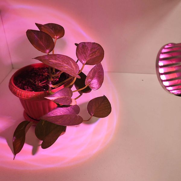 لامپ هالوژن ال ای دی رشد گیاه 5 وات مدل فول اسپکتروم 220V