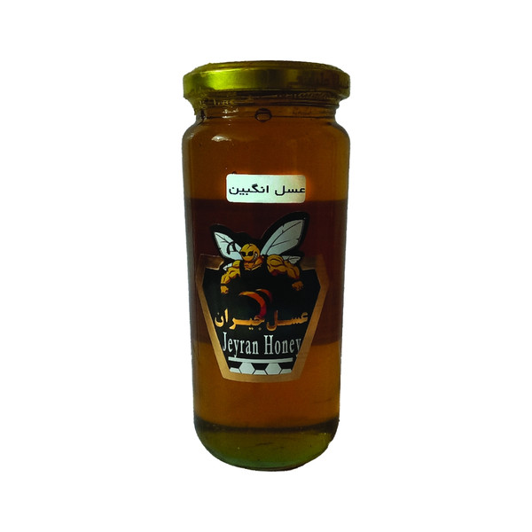 عسل طبیعی انگبین جیران- 700 گرم
