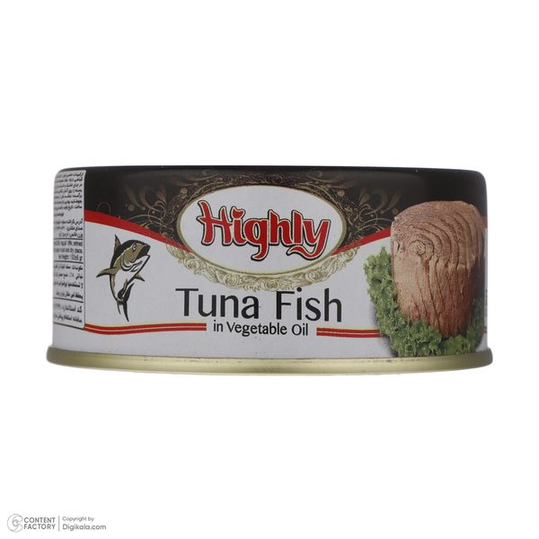 کنسرو ماهی تن در روغن هایلی - 120 گرم