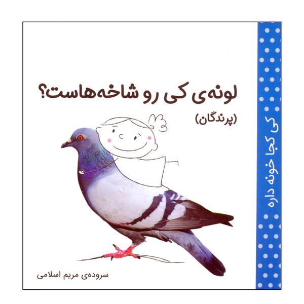 کتاب کی کجا خونه داره؟ لونه ی کی رو شاخه هاست؟ اثر مریم اسلامی انتشارات کتاب پرنده