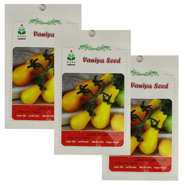 بذر گوجه گلابی زرد درختی آذر سبزینه مدل A721 بسته 3 عددی