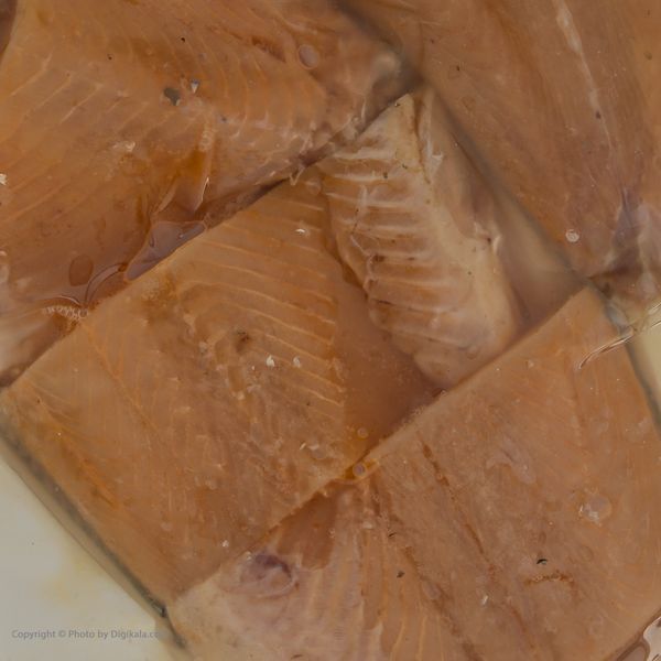 فیله ماهی قزل سالمون زر افشان جنوب - 500 گرم